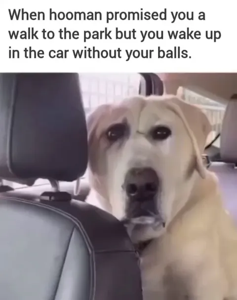 The gaze of the betrayed