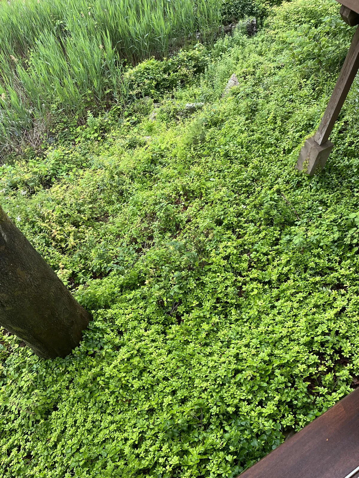 My green pressure washer head just shot off and landed in this…