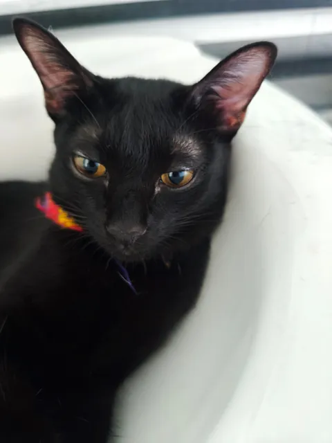 Her favorite spot, as so her sis, hahaha