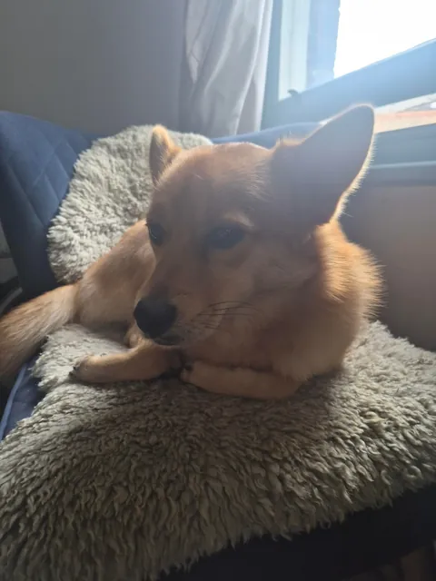 My bestest buddy Felix