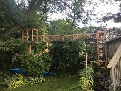 My dad made my indoor cats a tower/bridge/treehouse so they could safely enjoy the outdoors