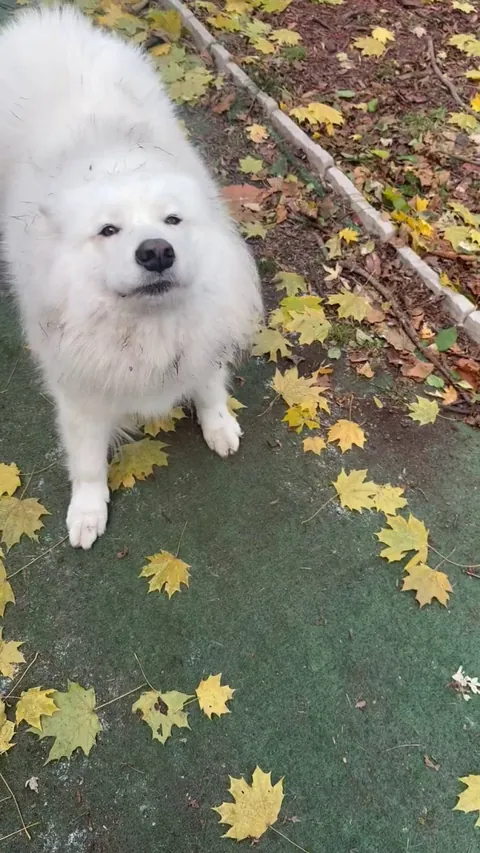 On this Sinday, she wants to remind you dig a hole, eat a chair, do whatever your heart desires.  You deserve it