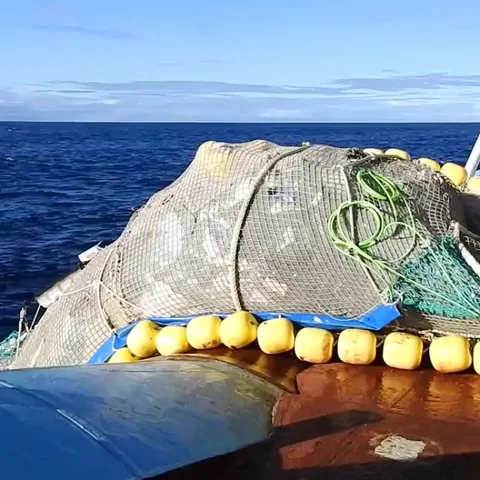 More than 100,000kg of plastic removed from the Great Pacific Garbage Patch (GPGP).