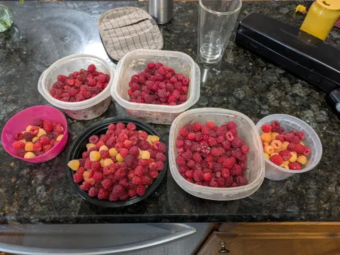 Send help. They are ripening by the hour.