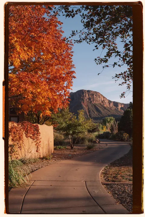 Fall in the high desert of Colorado, USA