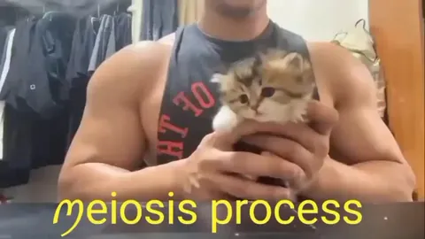 practical bio lesson
