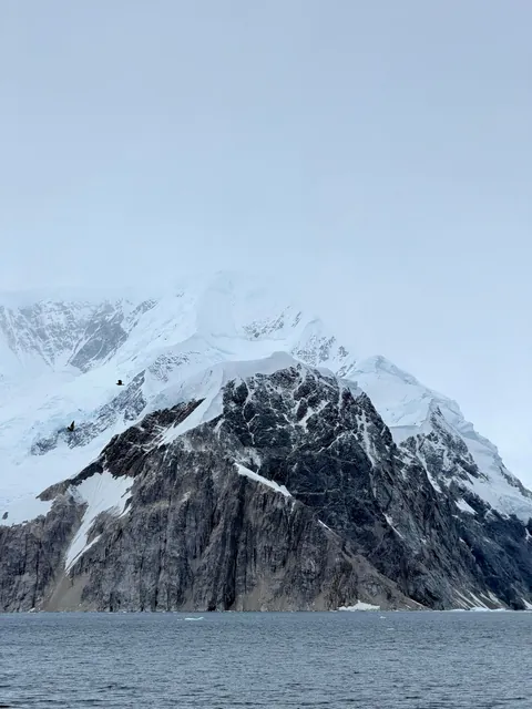10 days in Antarctica: Wildlife, the Drake Passage and what the expedition was like [OC]