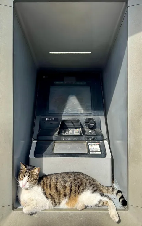 ATM assistant