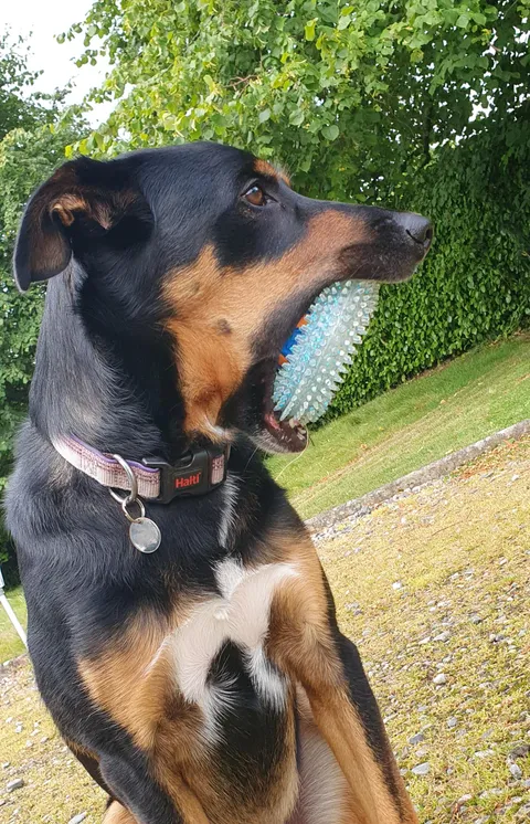 He didn't want to share his toys