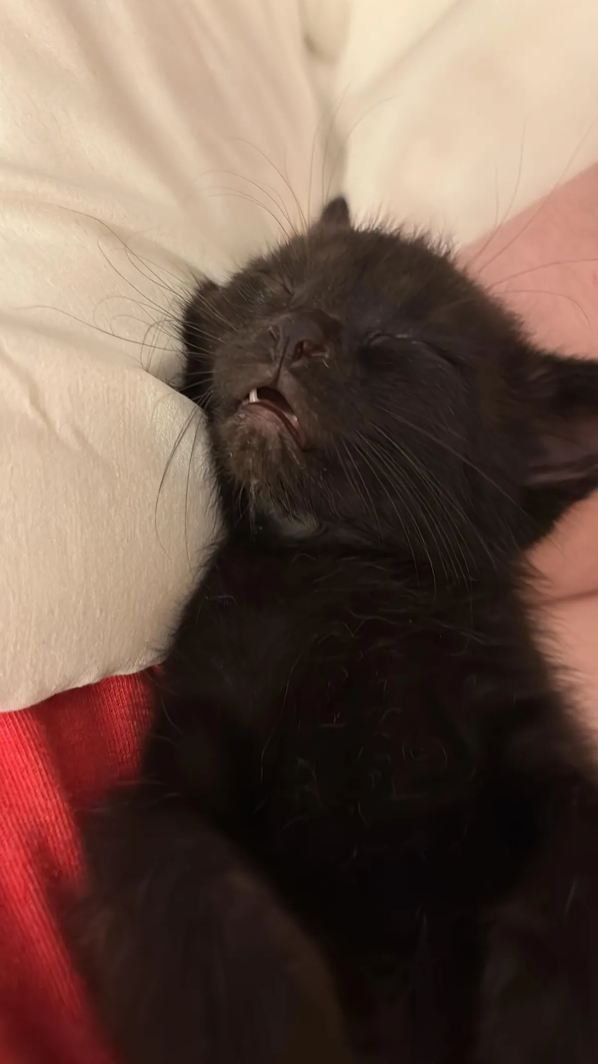 moomin jeans living her absolute best life