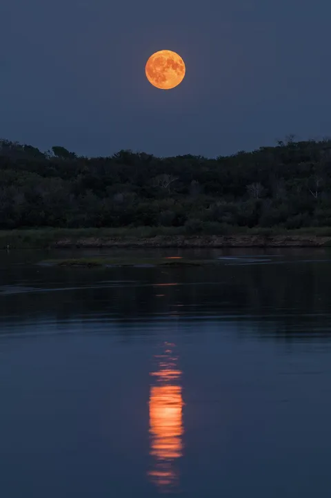 August full moon.  Saskatchewan Canada [oc] [1368x2048]