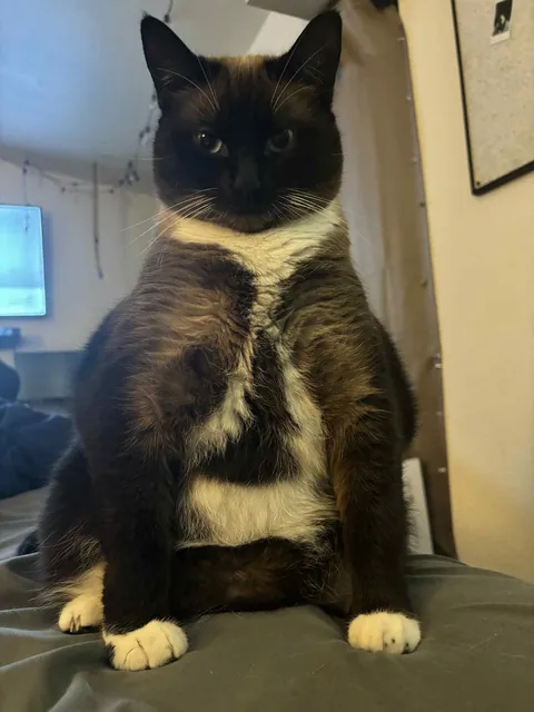 She wants what you're eating