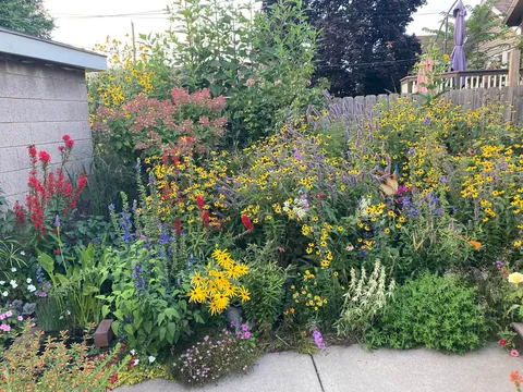 Flowers put on a final show in these last weeks of summer that already feel like fall.