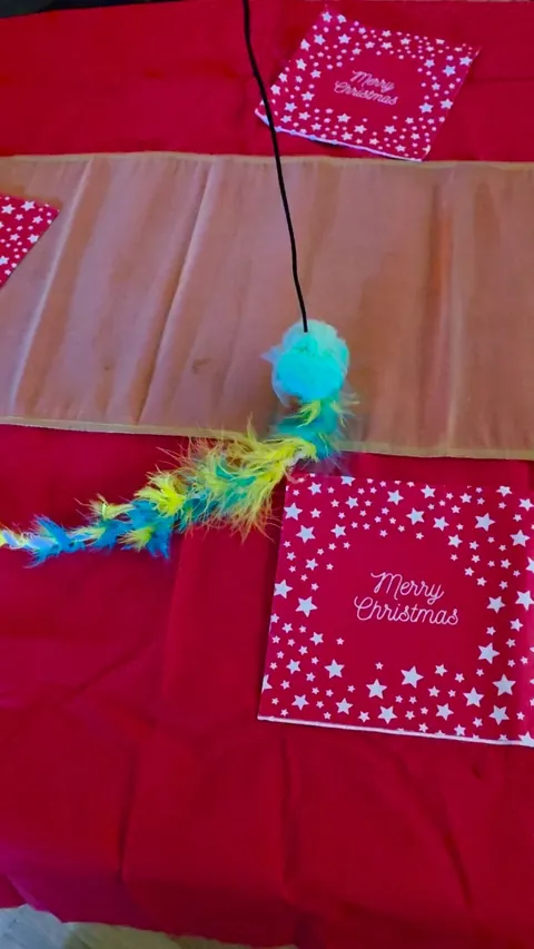 Xmas presents fishing