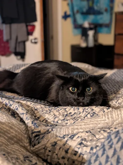 Guys I think my void deflated