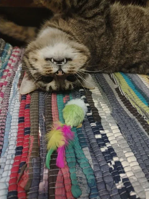 My friend says he looks weird, but I think he’s perfect. Thoughts?