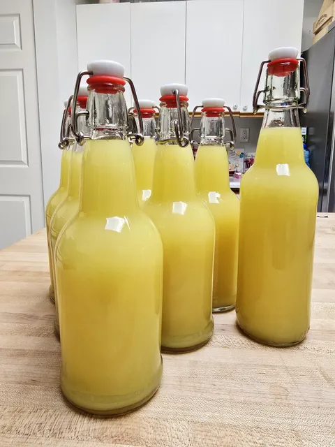 [Homemade] limoncello