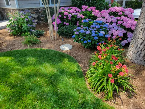 You fertilized, but did you properly prune?