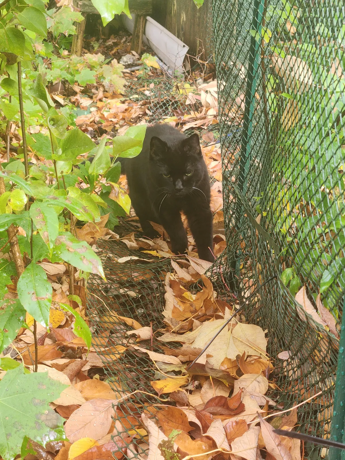 Somehow we are at 22! I love you Sammy ♥️