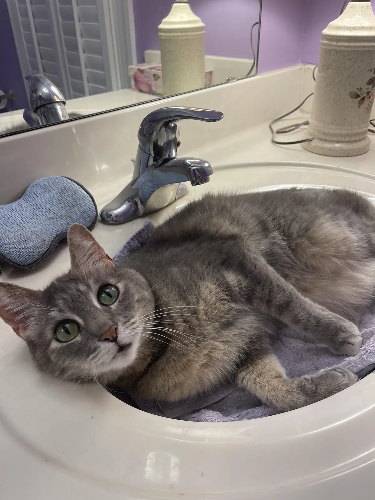 Smokey’s new favorite spot