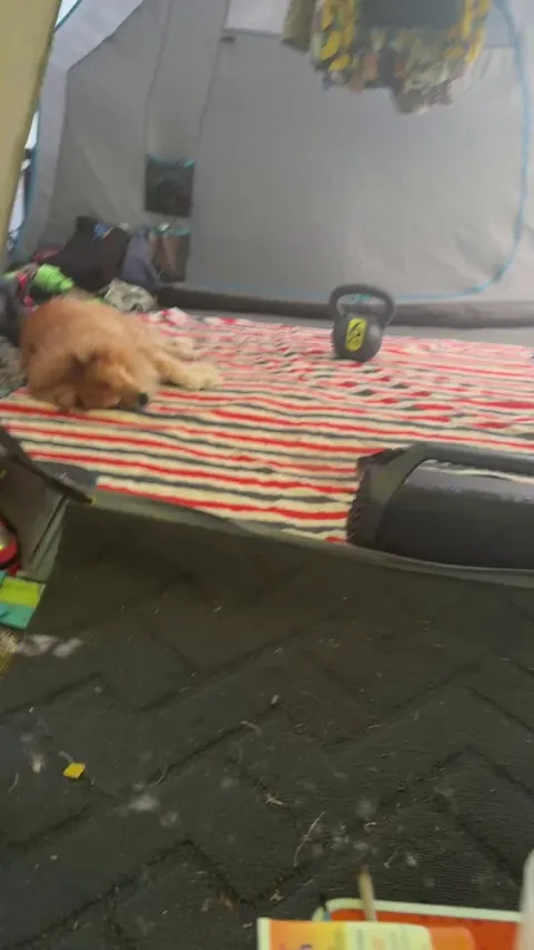 Mlem detected