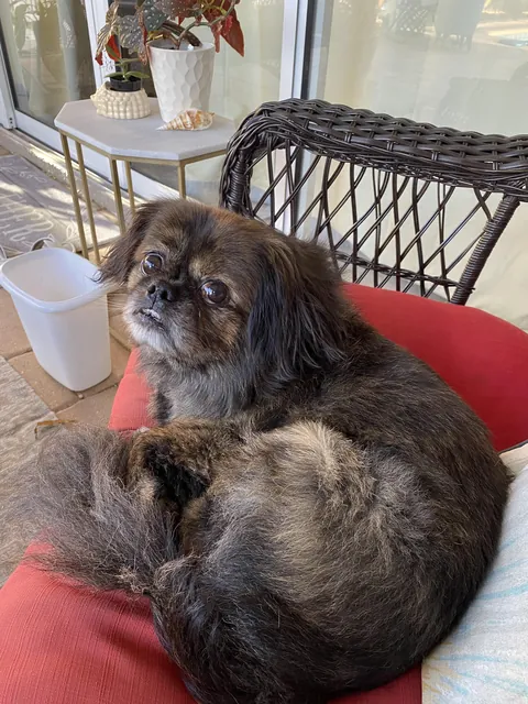 His face when I tell him he’s stinky