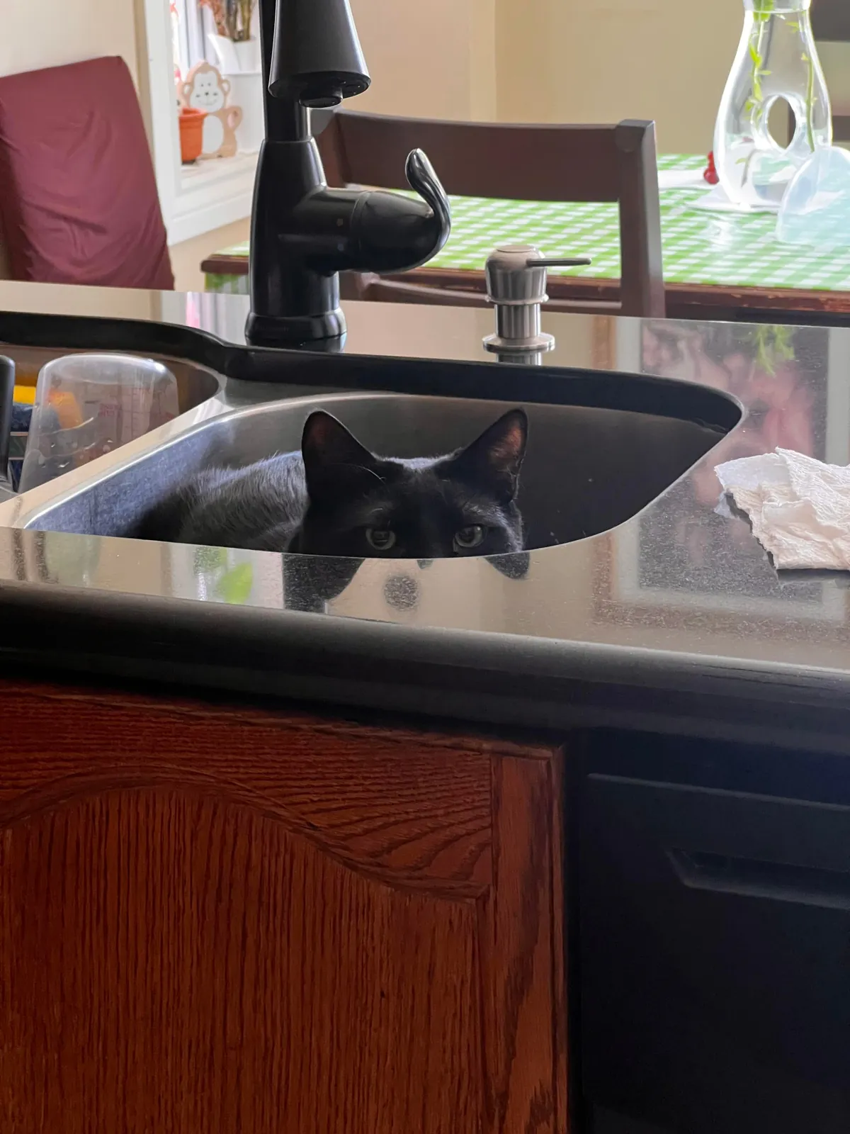 Anyone else have a sink void