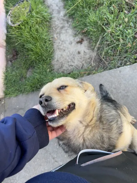 Innocent souls that love unconditionally.