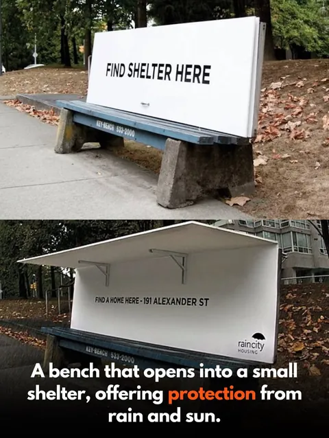 Design that puts People, Animals and Nature first.