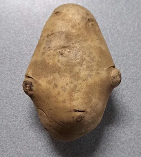 PsBattle: A potato on table