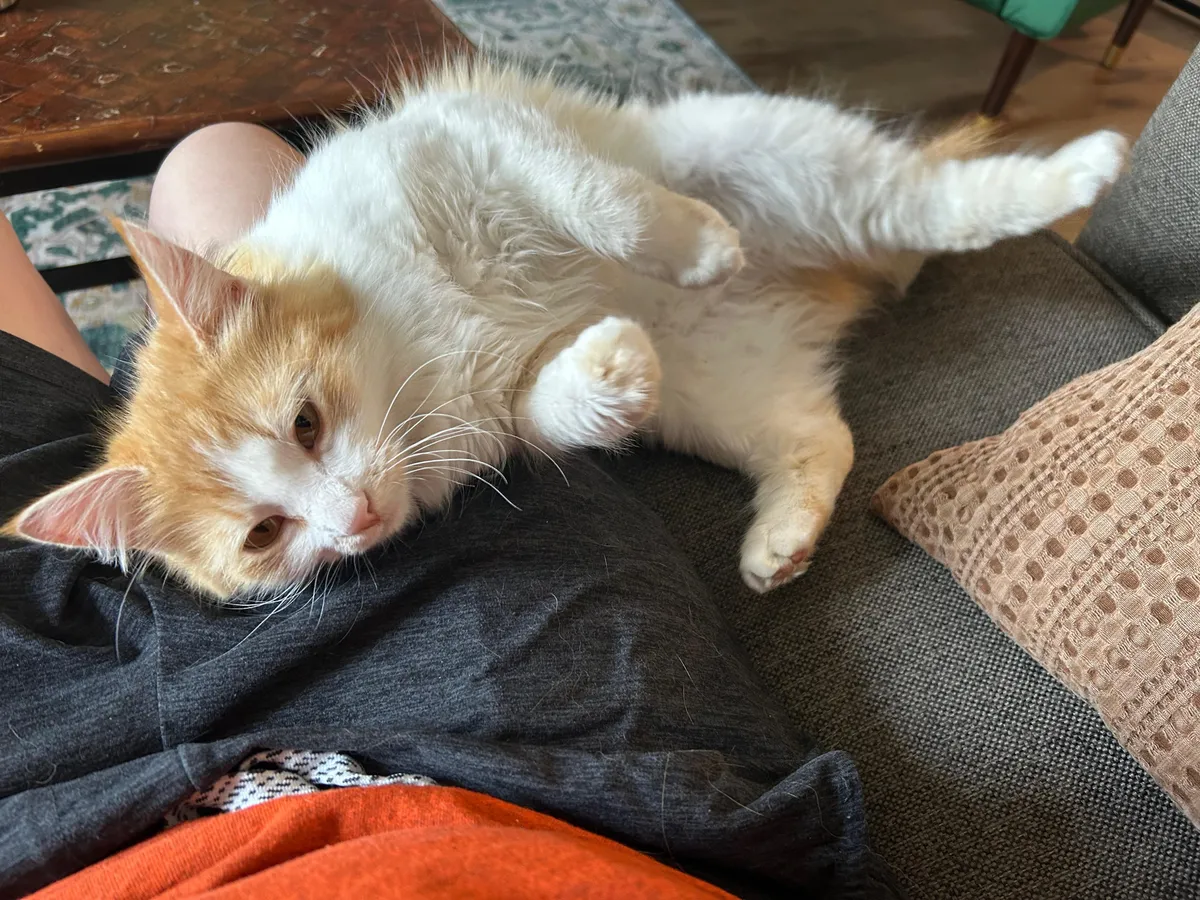 .5 seconds before she rolled off the couch