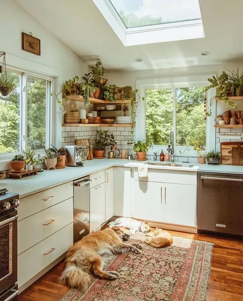 This beauty bright kitchen