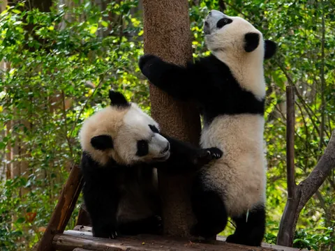 20 Photos, 20 Places, 4 Months in China - my personal highlights