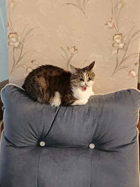 She told me to leave