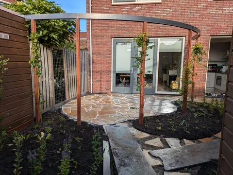 The first season of my flower garden