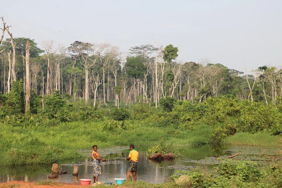 Central African Republic (CAR)