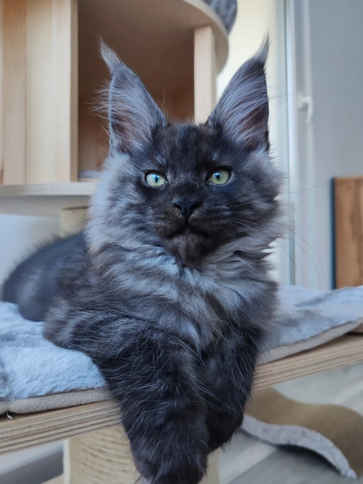 Théoden turned 6 months old