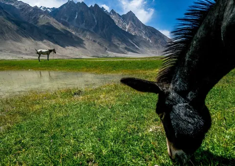 Pamirs of the Wakhan Corridor in Afghanistan. I walked alone across the border bridge at Ishkashim, hitched a ride then hired a donkey and walked up the valley for a week, then hired a horse and rode into the mountains for three weeks. Best trip ever!
