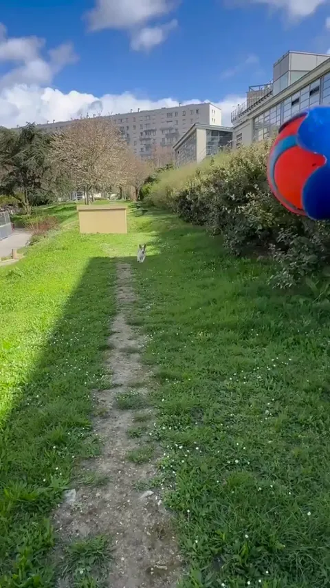 What is actually happening