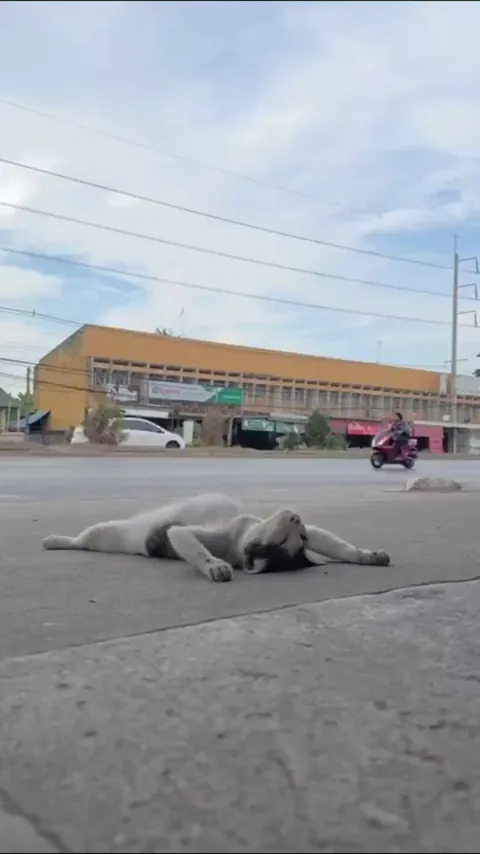 Trust level: unlimited