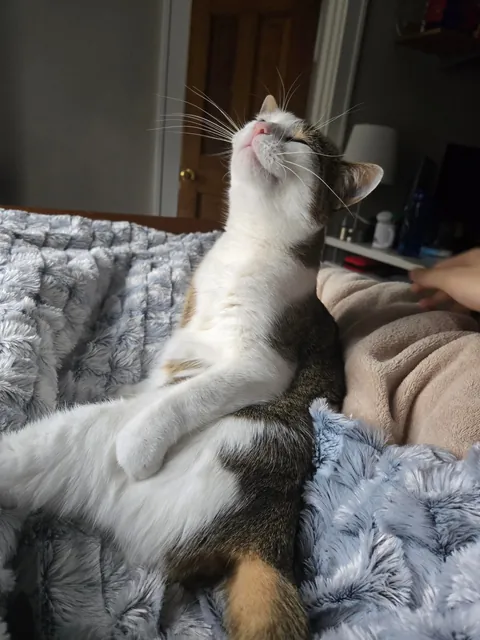 she may sit funny but that's okay