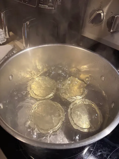Made a batch of jelly from my grapes.