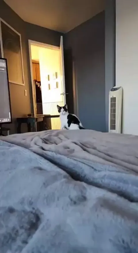 When I first got Daisy