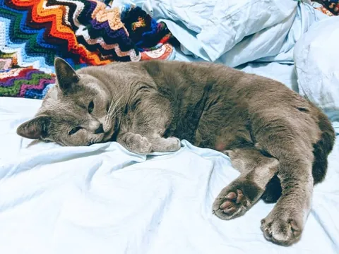I'm losing my boy with the belly tomorrow 💔