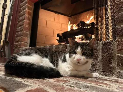 She held on for her 20th Christmas before letting go