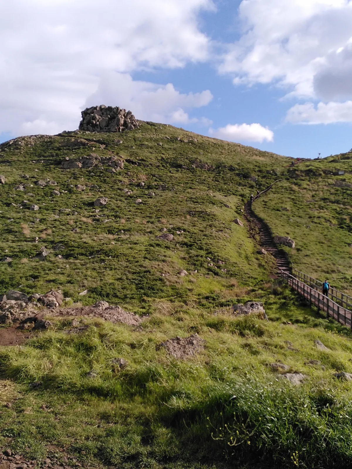 Madeira is a paradise for nature lovers. Five days on the island in pictures.