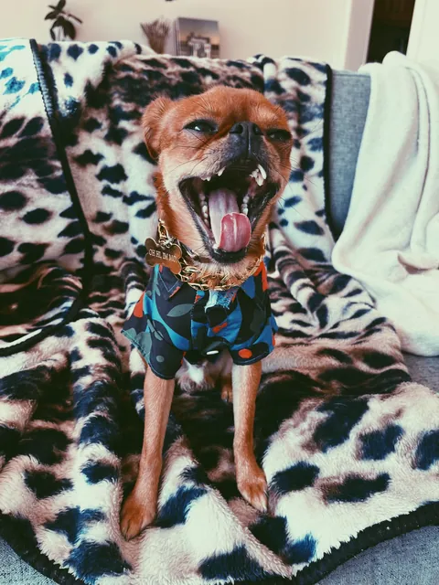 Folks call him DA BOY round these parts, his legal name is Mo