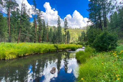 Alpine, Arizona [3480 x 2560] [OC]