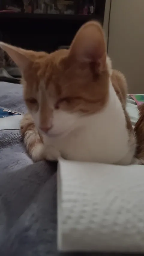 Born with no EyeBalls (anophthalmia)... My Beauty Queen