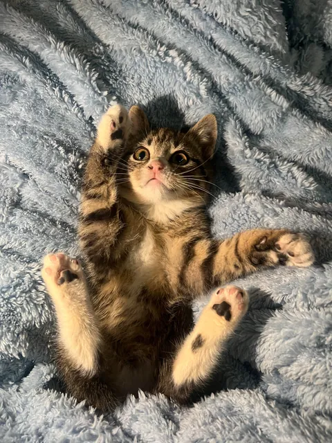 Introducing Riften 💙